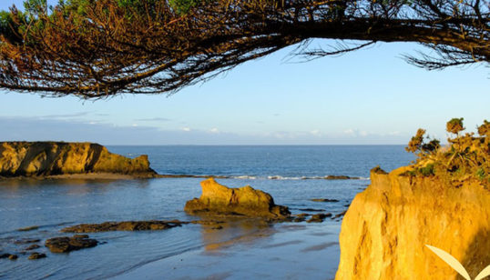 Plage de Pénestin mines d'or